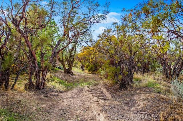Anza, California, 92539, United States, 4 Bedrooms Bedrooms, ,3 BathroomsBathrooms,Residential,For Sale,1964890