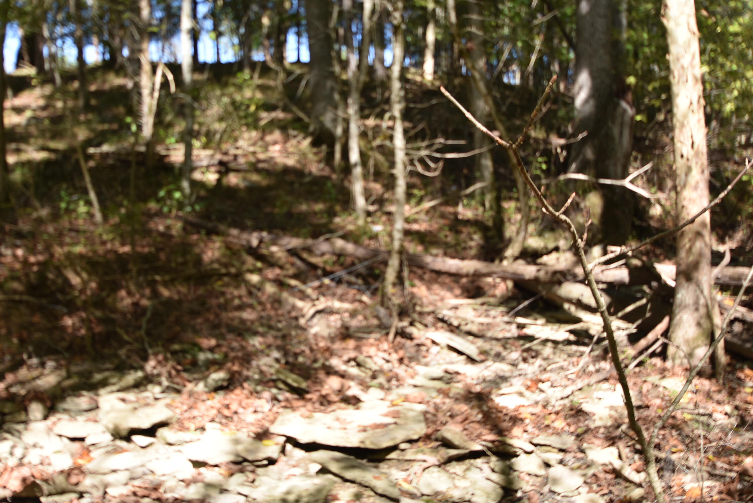 Willisburg, Kentucky, 40078, United States, 4 Bedrooms Bedrooms, ,1 BathroomBathrooms,Residential,For Sale,1962831