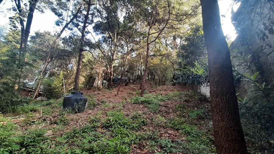 Valle de Bravo, Estado de méxico, 51200, Mexico, 1 Bedroom Bedrooms, ,Residential,For Sale,1721509