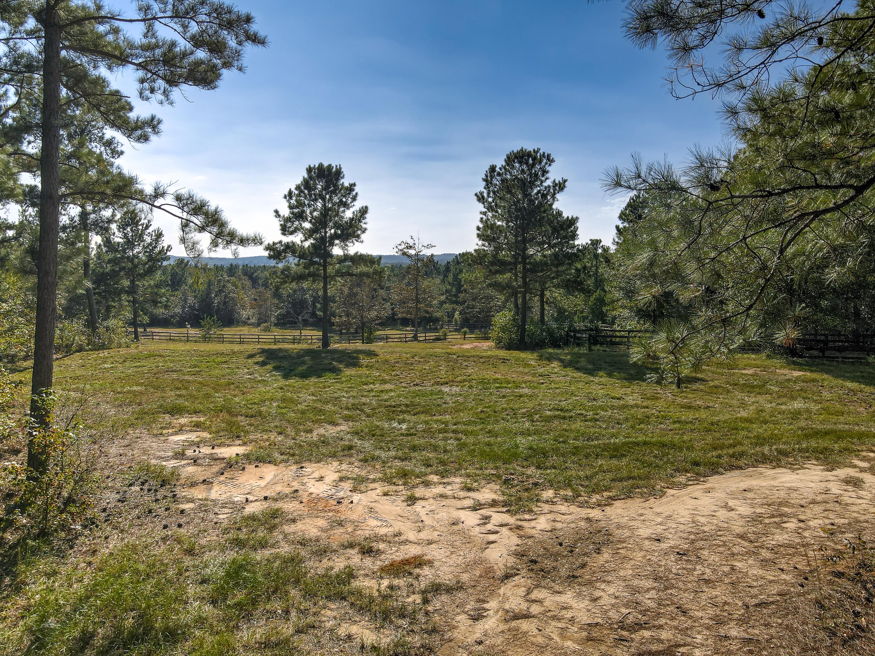 Wagener, South Carolina, 29164, United States, ,Land,For Sale,1969040