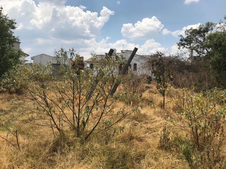 Bosque de Helechos, Cuajimalpa de Morelos, Ciudad de México, 05120, Mexico, 1 Bedroom Bedrooms, ,Residential,For Sale,Bosque de Helechos,1637809