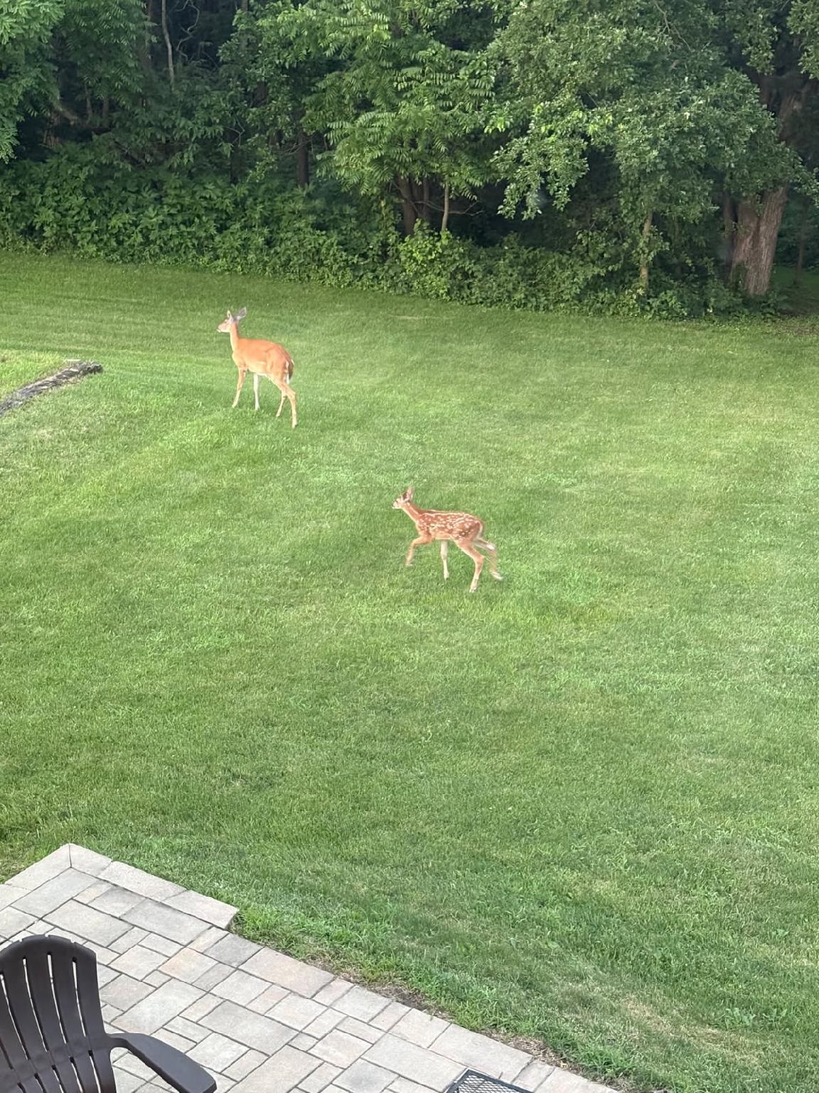 Monticello, Wisconsin, 53570-9520, United States, 4 Bedrooms Bedrooms, ,3 BathroomsBathrooms,Residential,For Sale,2005674