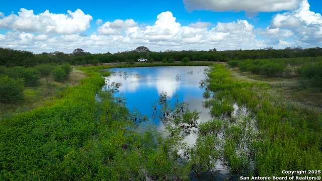 Nixon, Texas, 78140, United States, ,Residential,For Sale,1988320