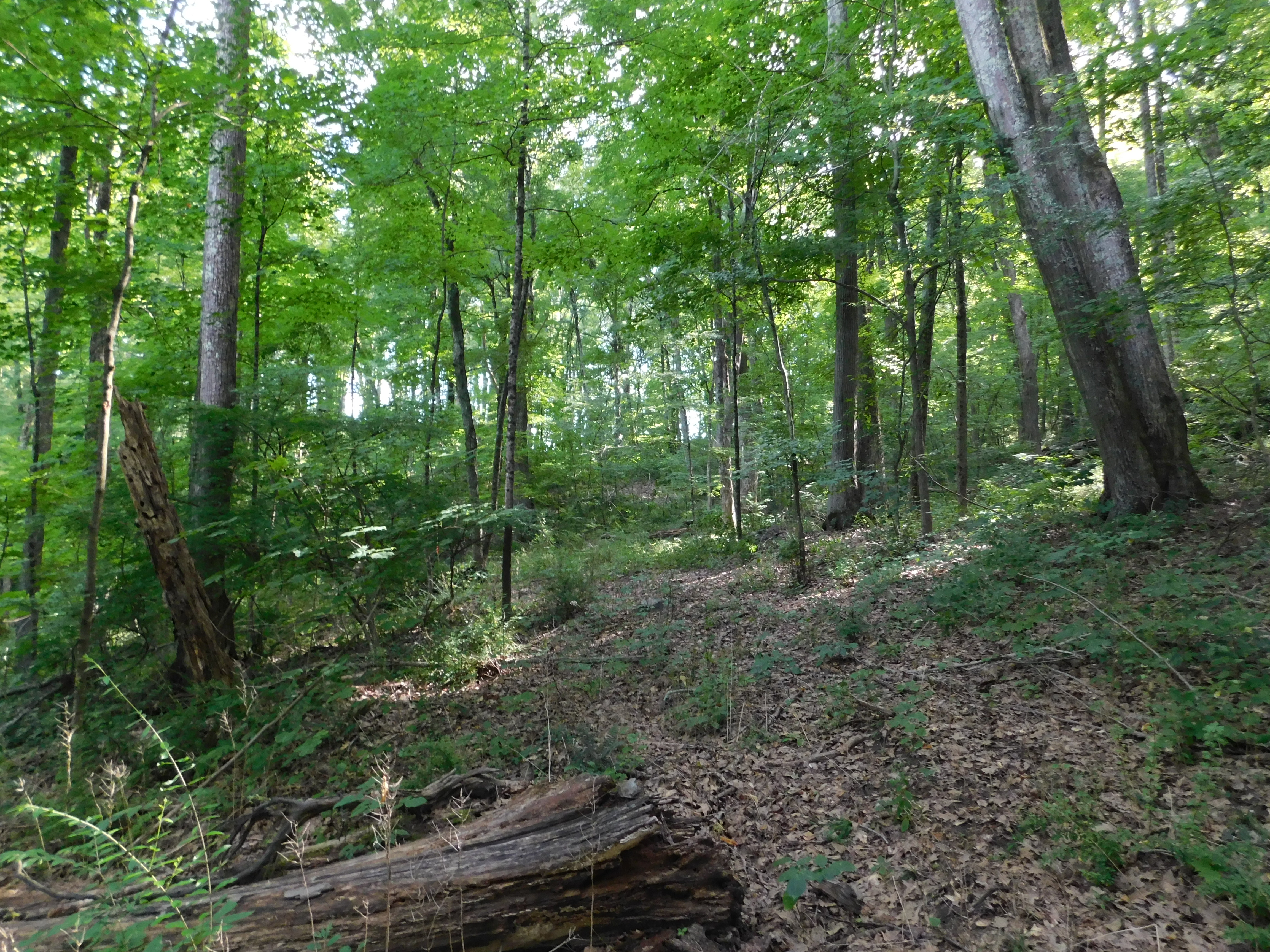  153 White Hollow Road - 物件實景