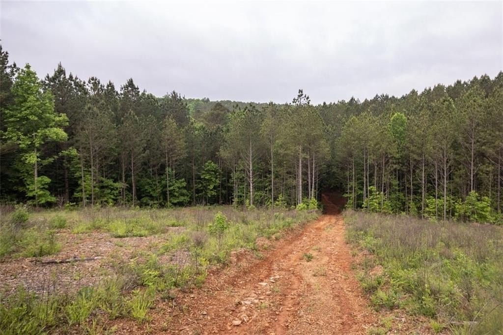 Jasper, Georgia, 30143, United States, ,Land,For Sale,2005889