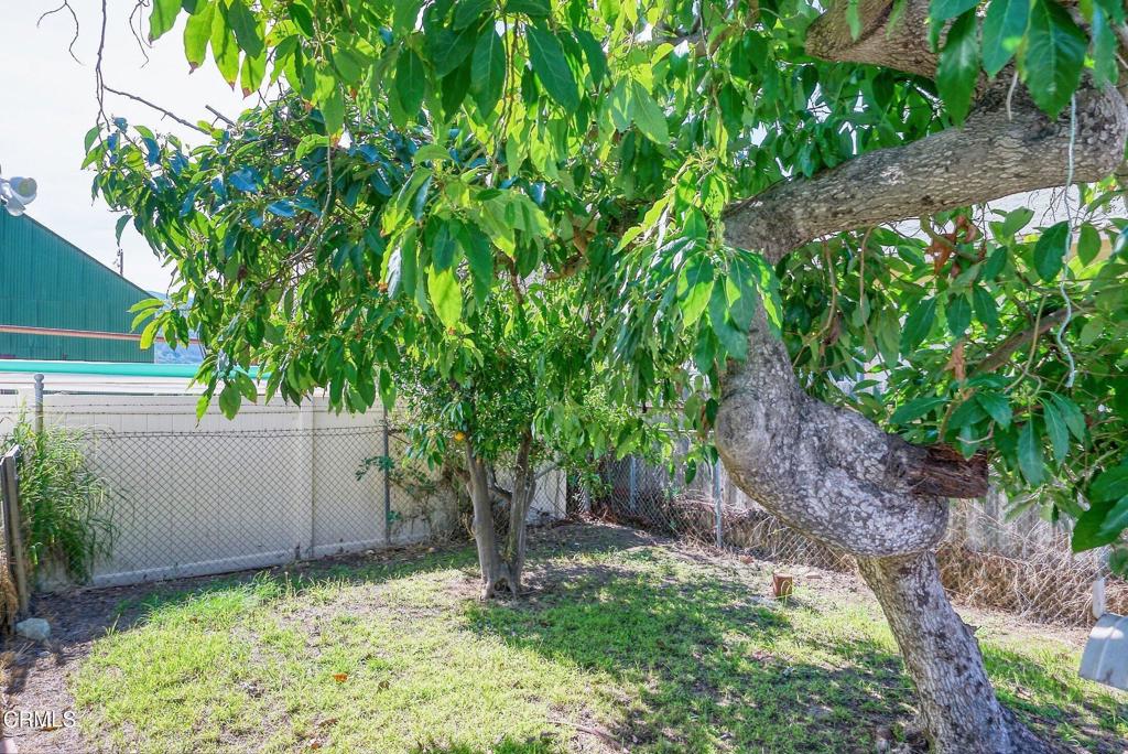 Santa Paula, California, 93060, United States, 3 Bedrooms Bedrooms, ,1 BathroomBathrooms,Residential,For Sale,2043015
