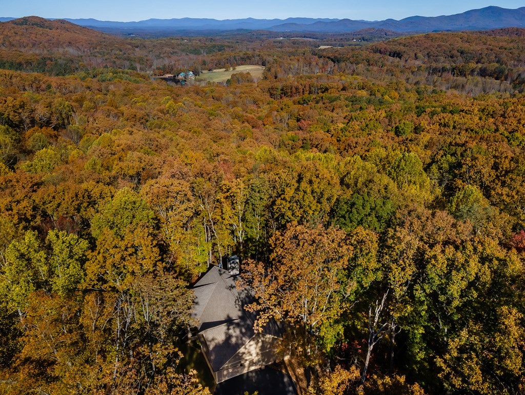 Ellijay, Georgia, 30536, United States, 3 Bedrooms Bedrooms, ,2 BathroomsBathrooms,Residential,For Sale,1987924
