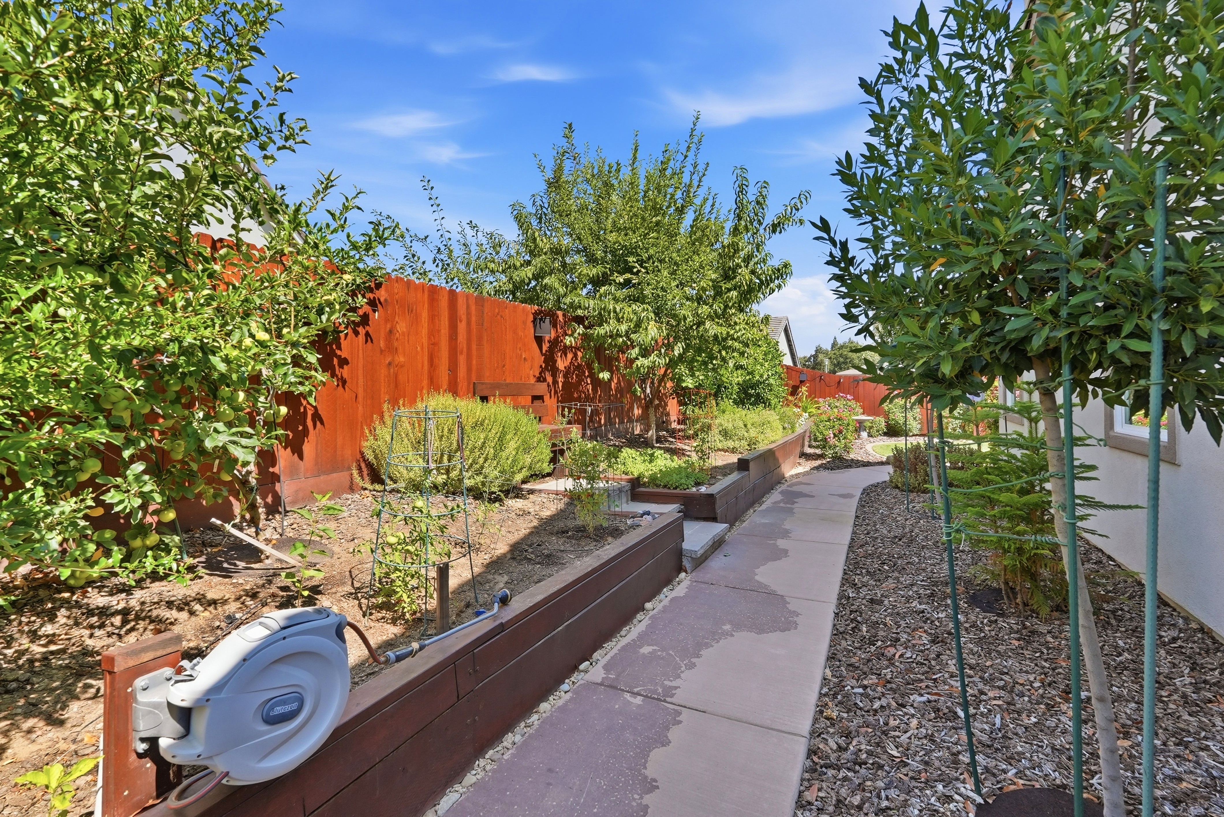  8339 Lollybush Court, Fair Oaks, CA 95628 - 物件實景