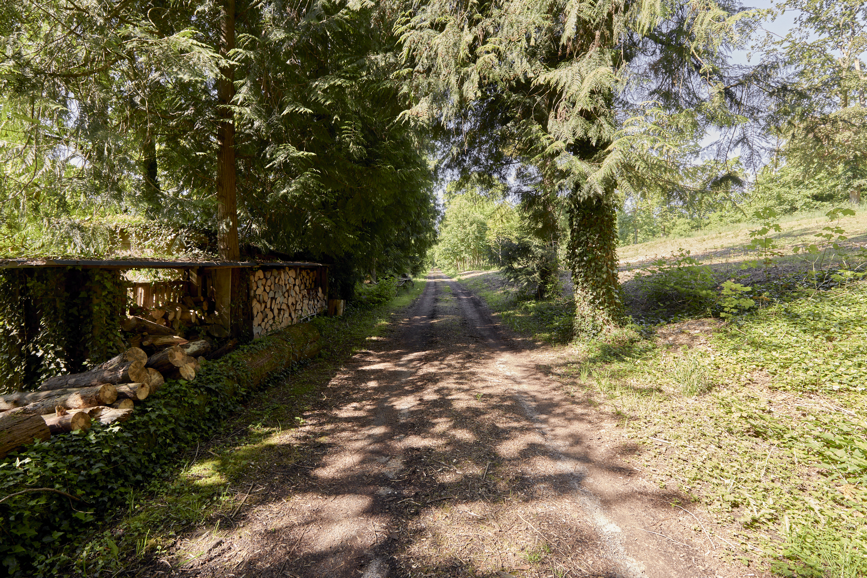  Domaine privé à Manternach - 物件實景