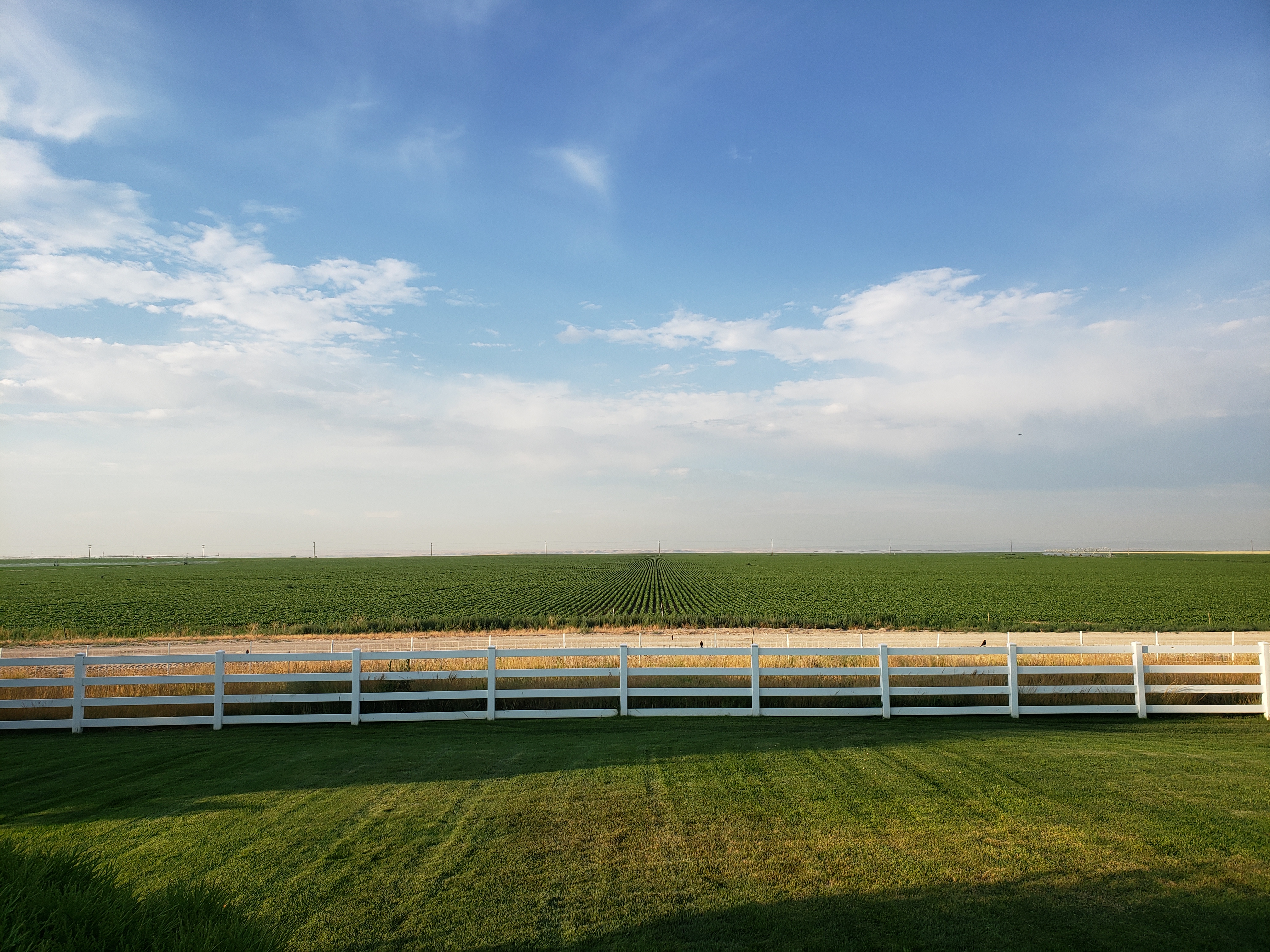 Mountain Home, Idaho, 83647, United States, ,Residential,For Sale,1830525