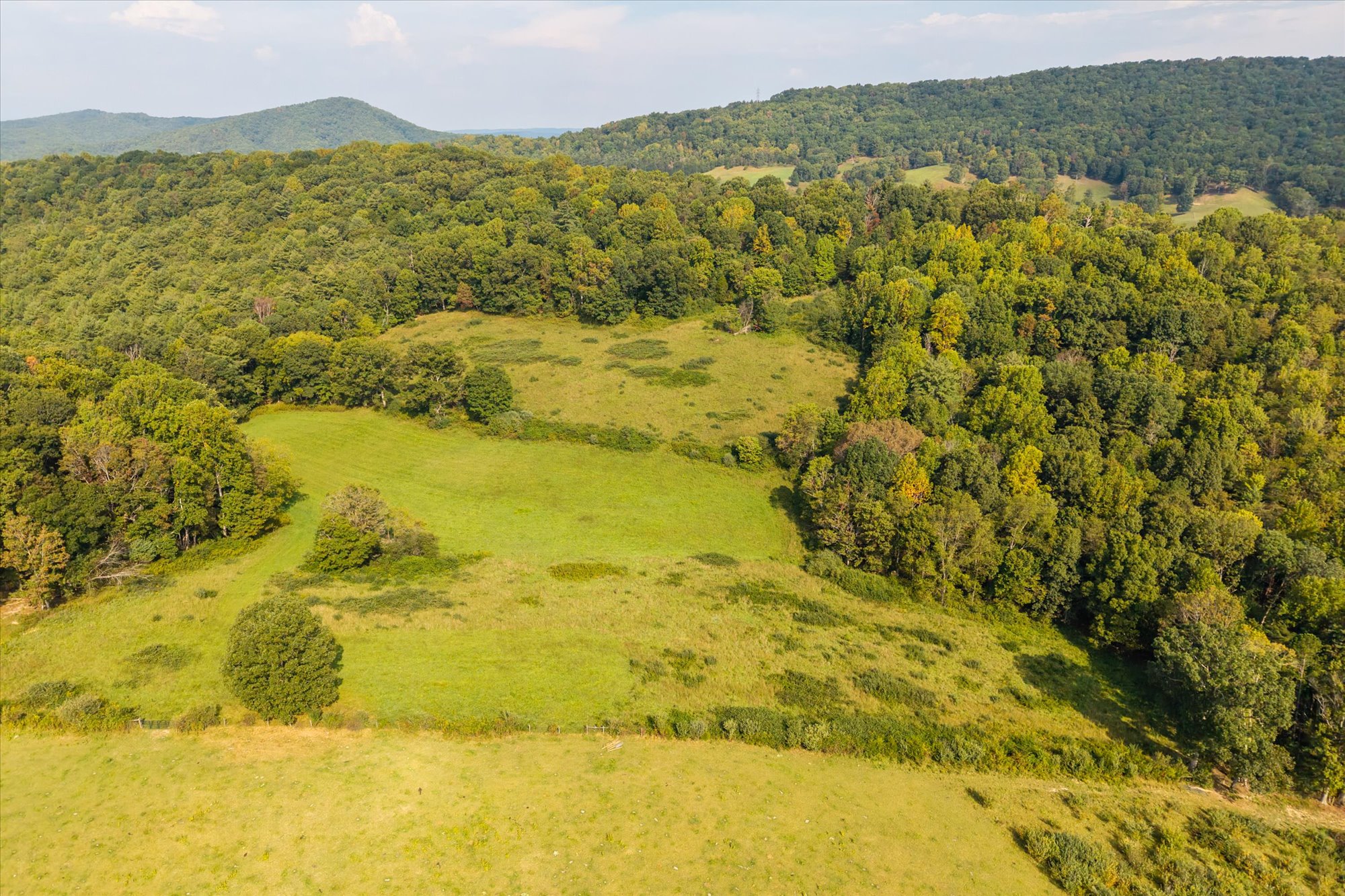  Crystal Springs Farm - 物件實景