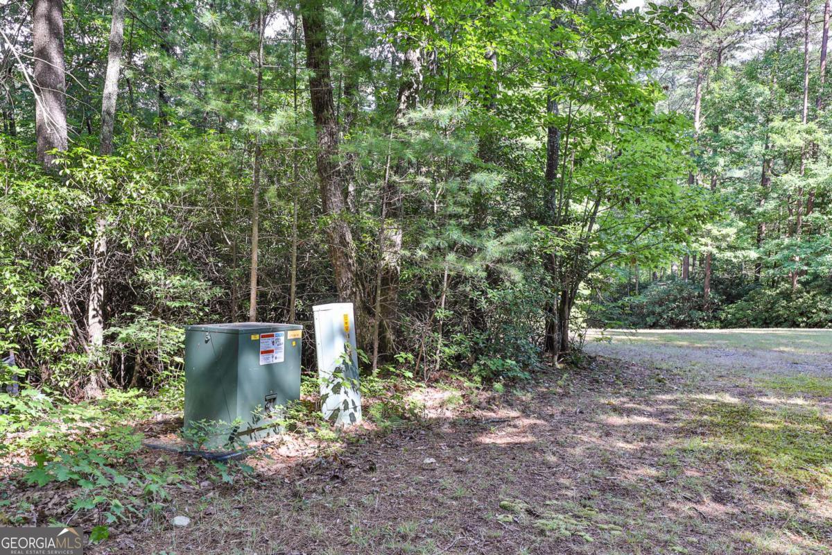 Cherry Log, Georgia, 30522, United States, ,Land,For Sale,1859131