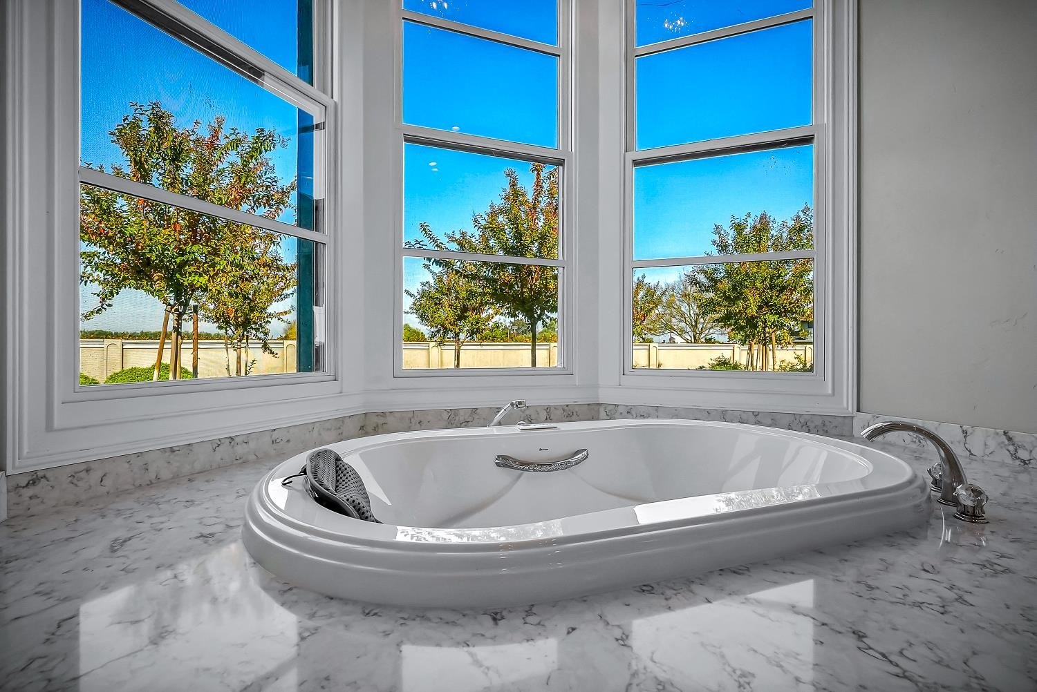 Lodi, California, 95241, United States, 4 Bedrooms Bedrooms, ,6 BathroomsBathrooms,Residential,For Sale,2005753