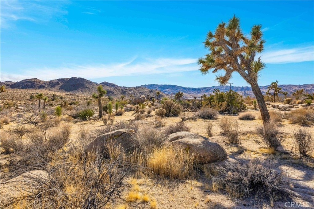 Joshua Tree, California, 92252, United States, 3 Bedrooms Bedrooms, ,2 BathroomsBathrooms,Residential,For Sale,1942307