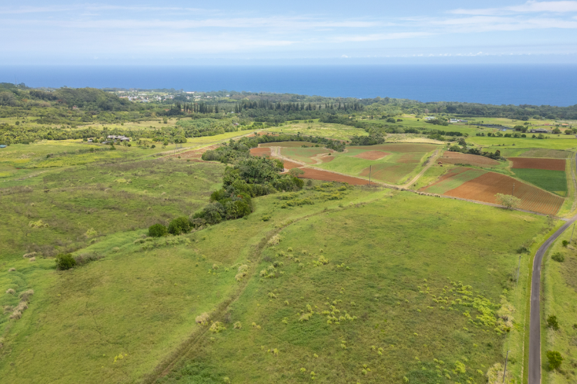 Pepeekeo, Hawaii, 96783, United States, ,Residential,For Sale,1943920