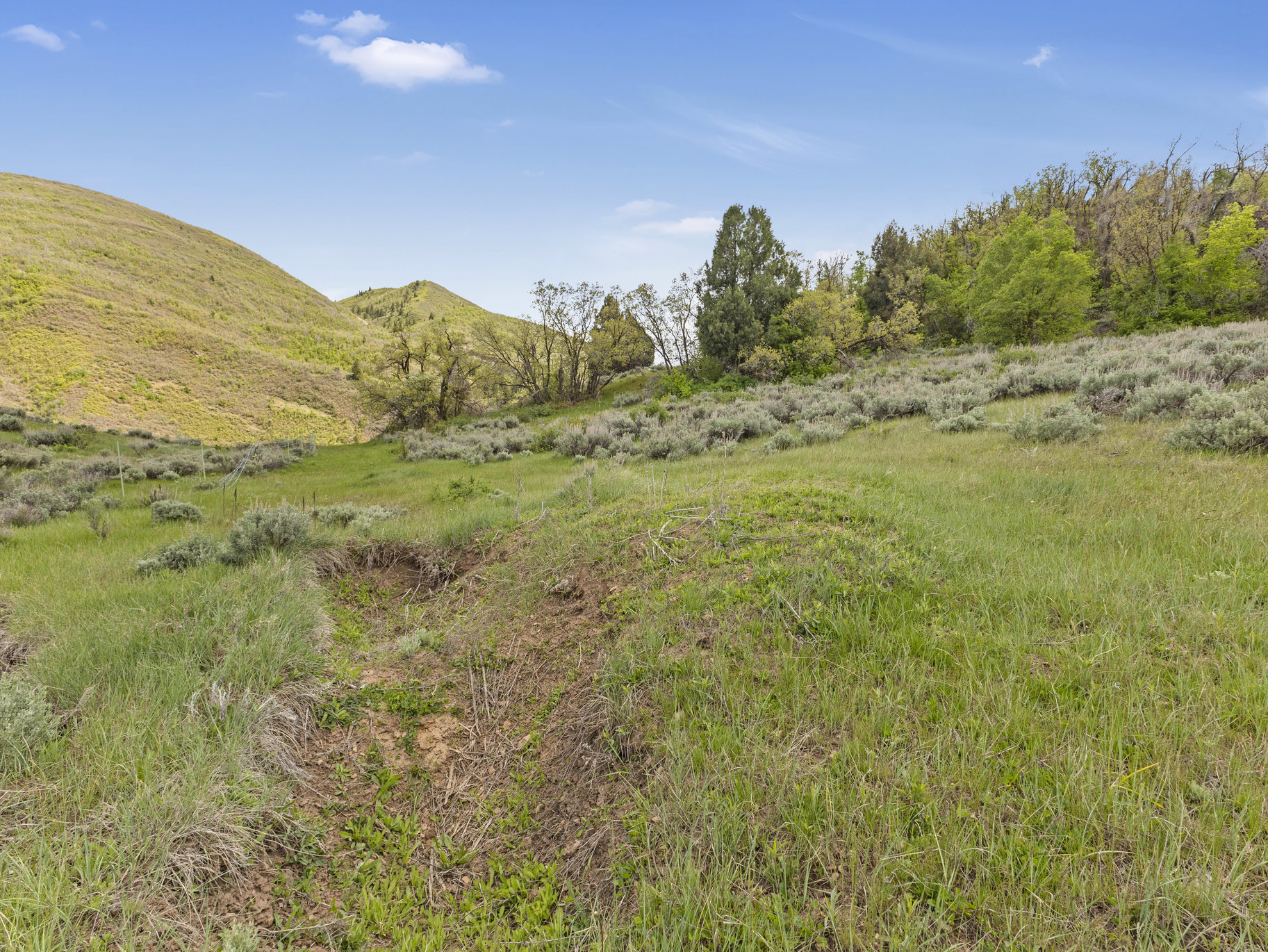  5.4 Acres In Provo Canyon With Easement To River - 物件實景