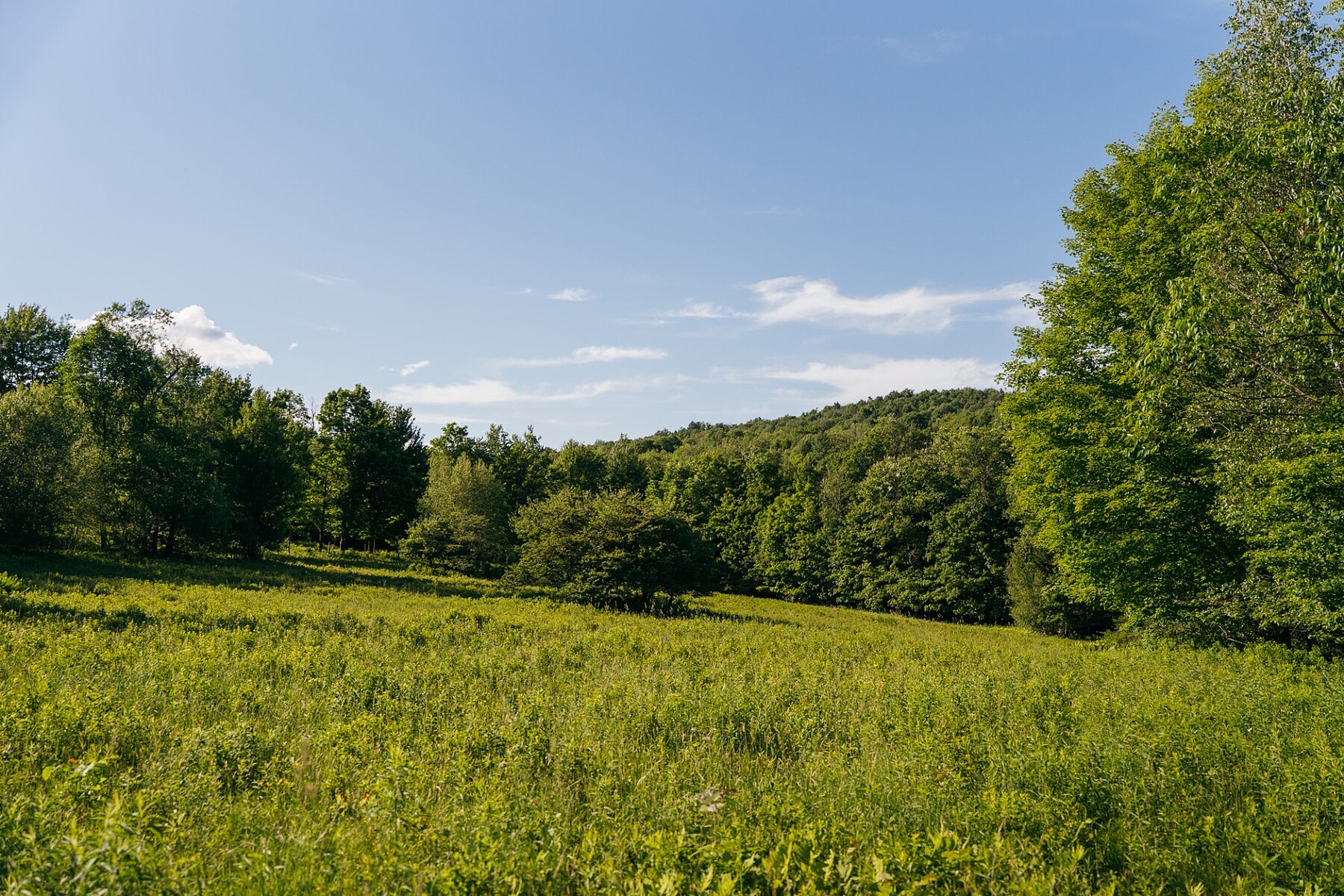  Sutton, Eastern Townships - 物件實景