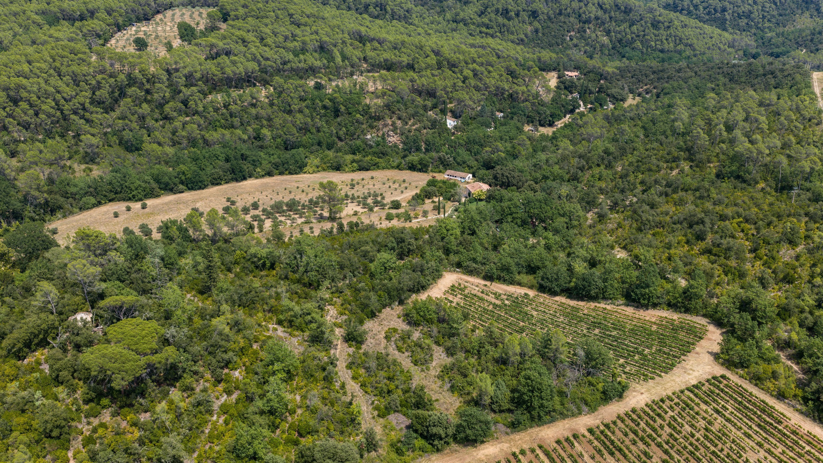  Lorgues – Characterful Provençal Estate Set Within 55 Hectares - 物件實景