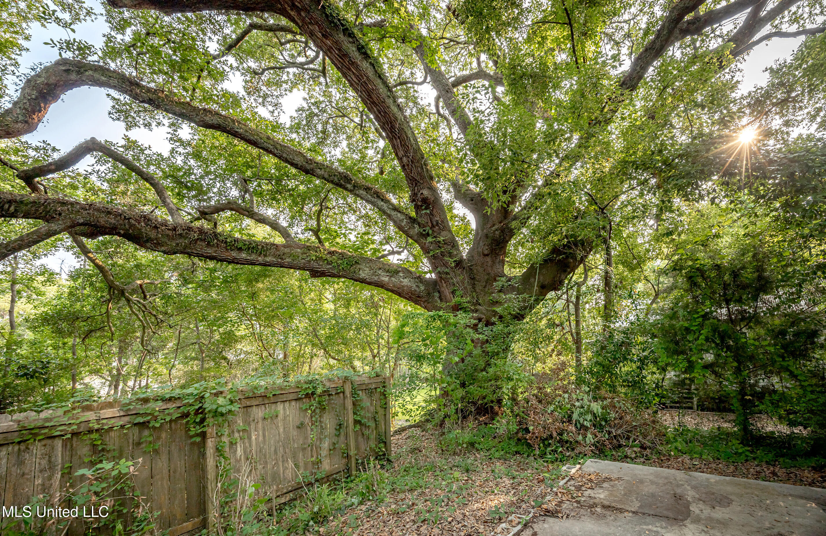 Ocean Springs, Mississippi, 39564, United States, 3 Bedrooms Bedrooms, ,2 BathroomsBathrooms,Residential,For Sale,1847227