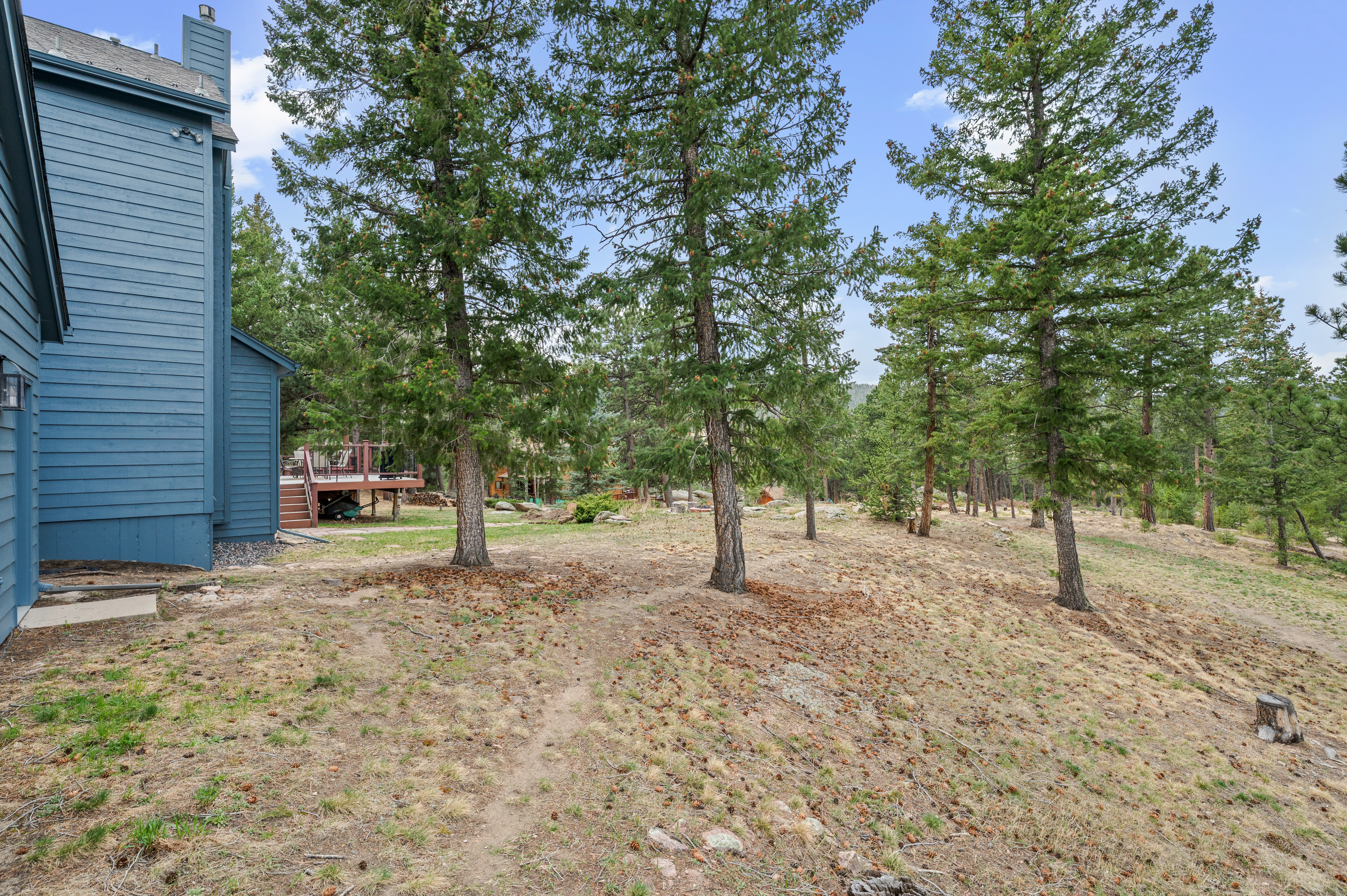  Freedom to Live Your Own Way - 物件實景