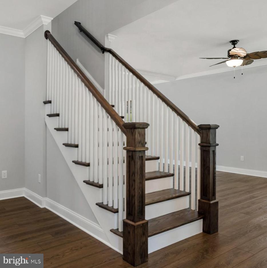NEWARK, Delaware, 19711, United States, 4 Bedrooms Bedrooms, ,3 BathroomsBathrooms,Residential,For Sale,1905769