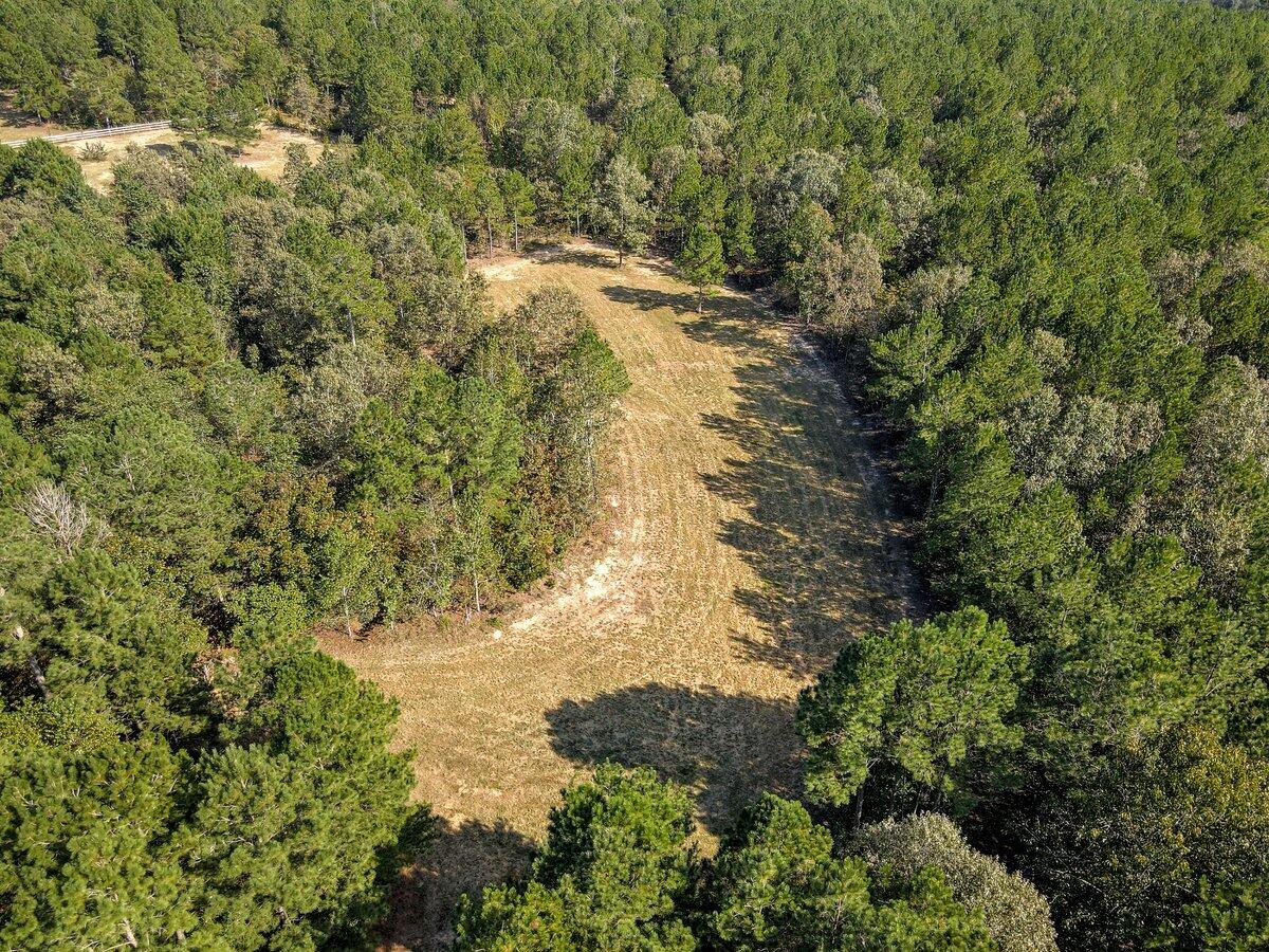 Wagener, South Carolina, 29164, United States, ,Land,For Sale,1969040