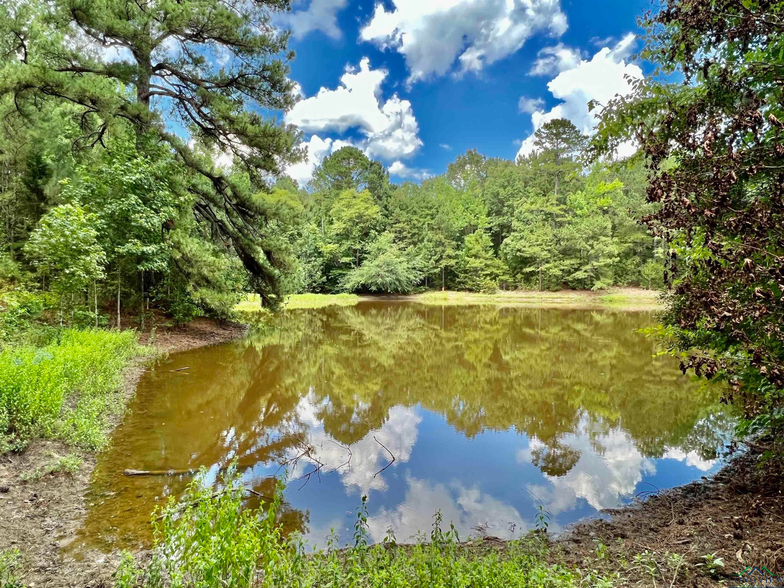 Marietta, Texas, 75566, United States, 2 Bedrooms Bedrooms, ,1 BathroomBathrooms,Residential,For Sale,1880684