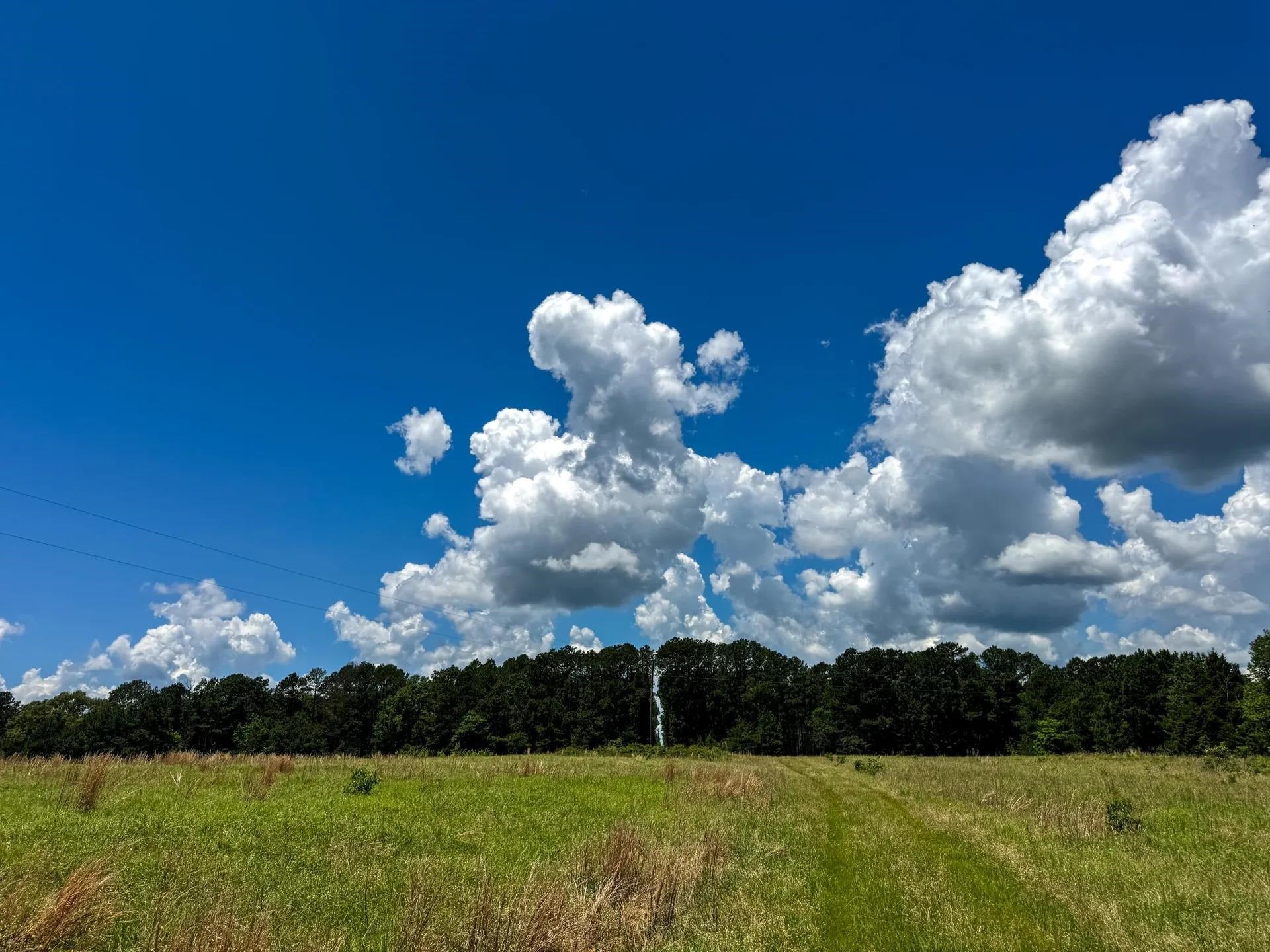 Douglassville, Texas, 75560, United States, ,Land,For Sale,2048006