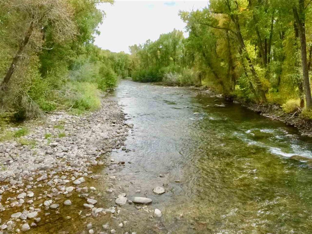 235 Lupine Dr., Crested Butte, Colorado, 81224, United States, ,Land,For Sale,235 Lupine Dr.,1431090