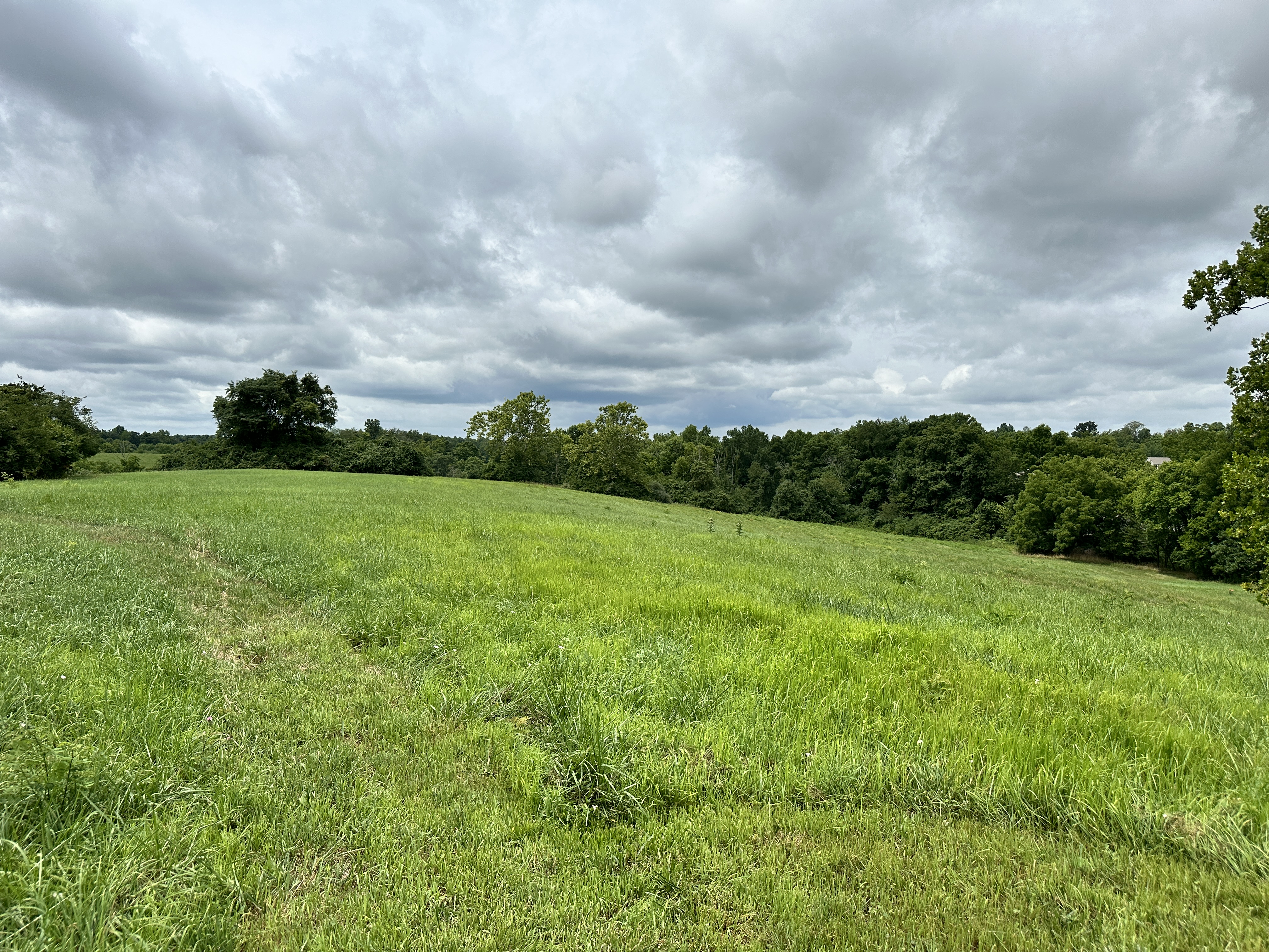 Walton, Kentucky, 41094, United States, ,Land,For Sale,1981513