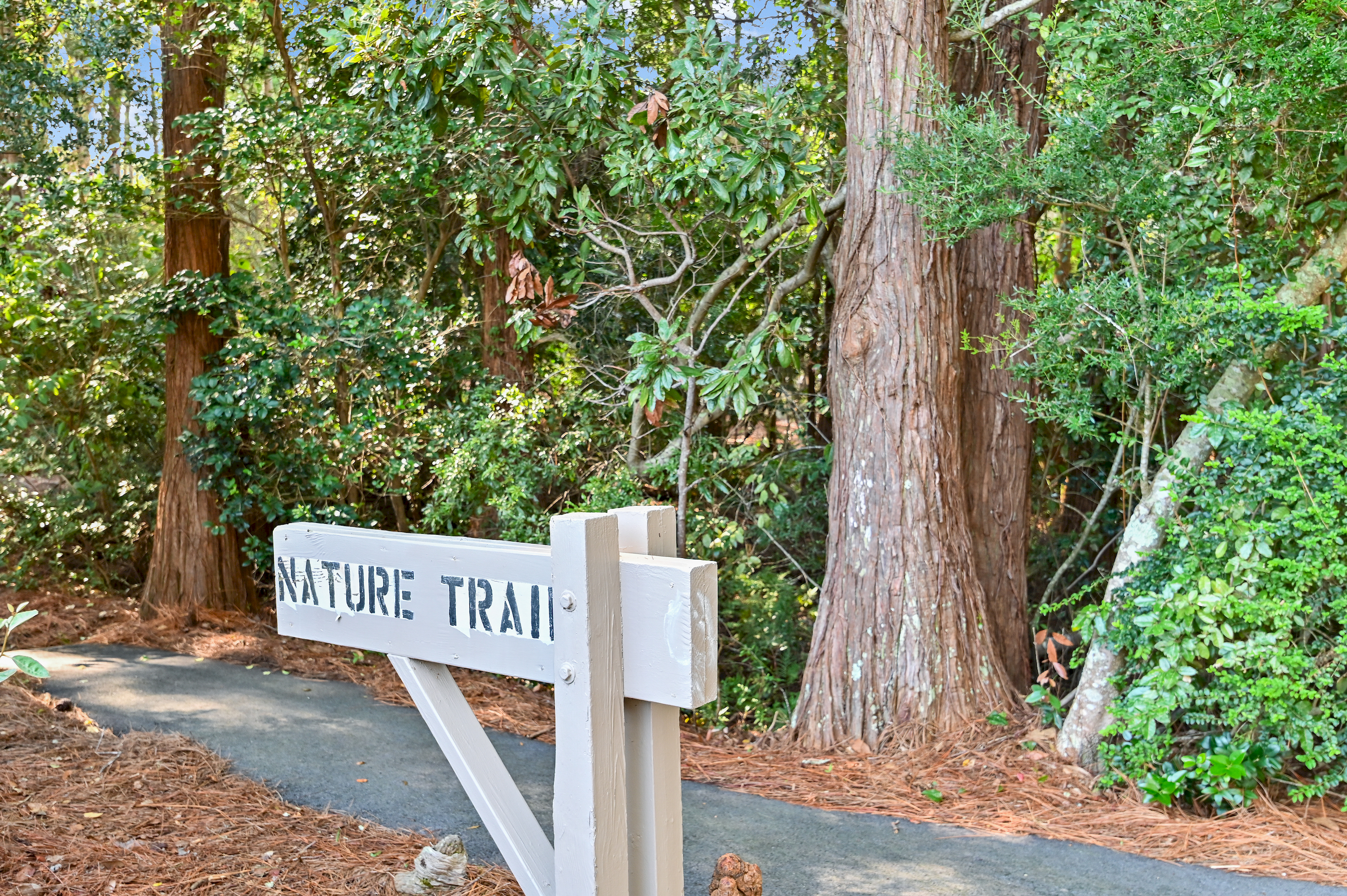  Charming Seagrove Beach Cottage Surrounded by Nature - 物件實景