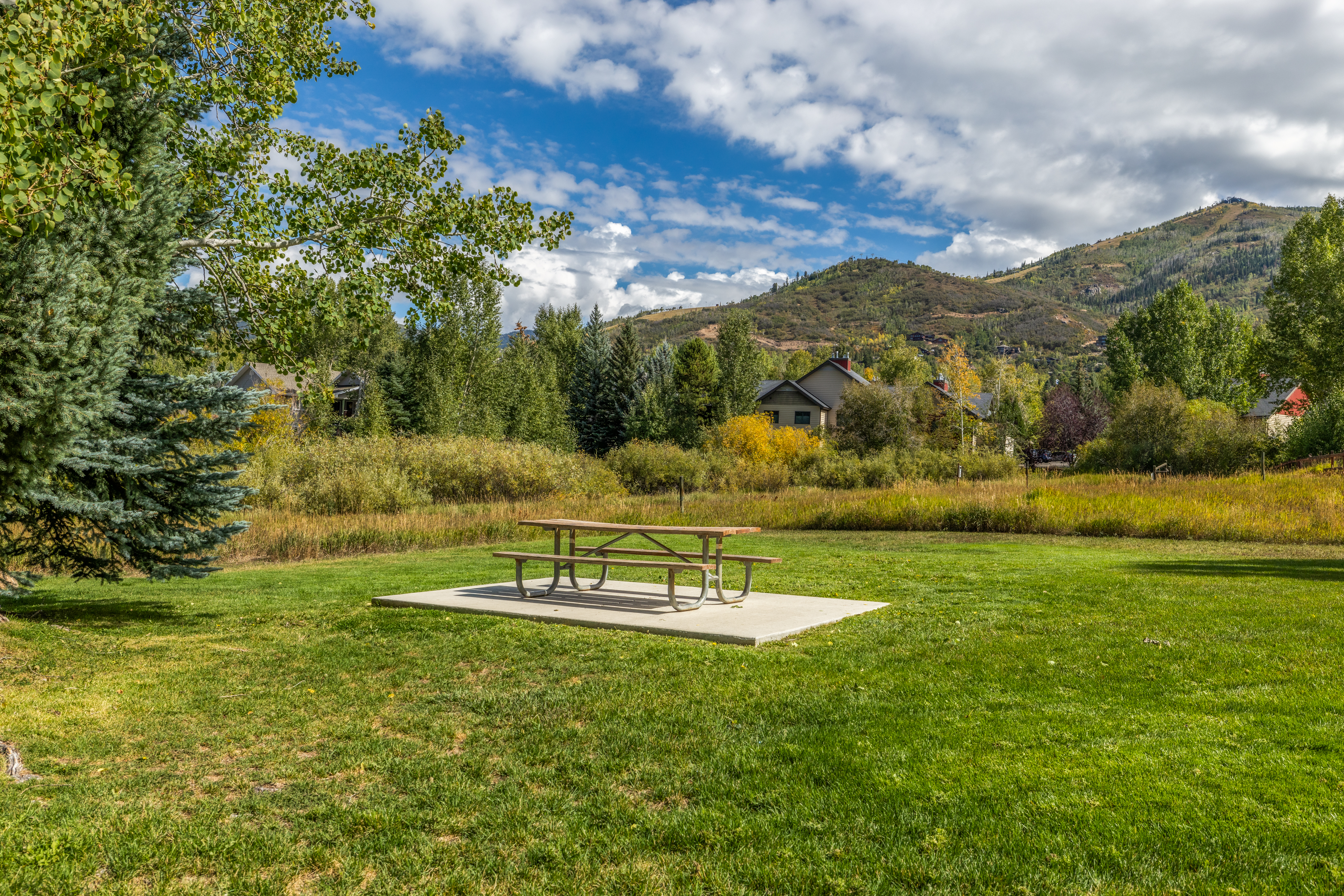 1555 Woodbridge Court, Steamboat Springs, CO 80487 - 物件實景