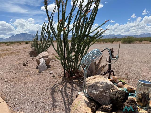 Rodeo, New Mexico, 88056, United States, 3 Bedrooms Bedrooms, ,3 BathroomsBathrooms,Residential,For Sale,2047967