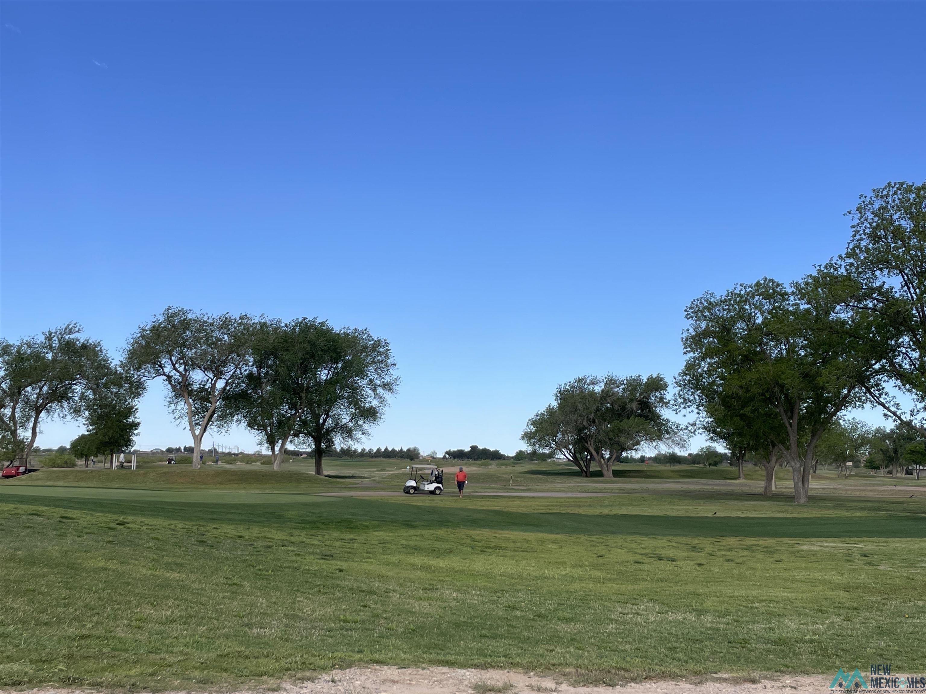 Artesia, New Mexico, 88210, United States, ,Land,For Sale,1978957