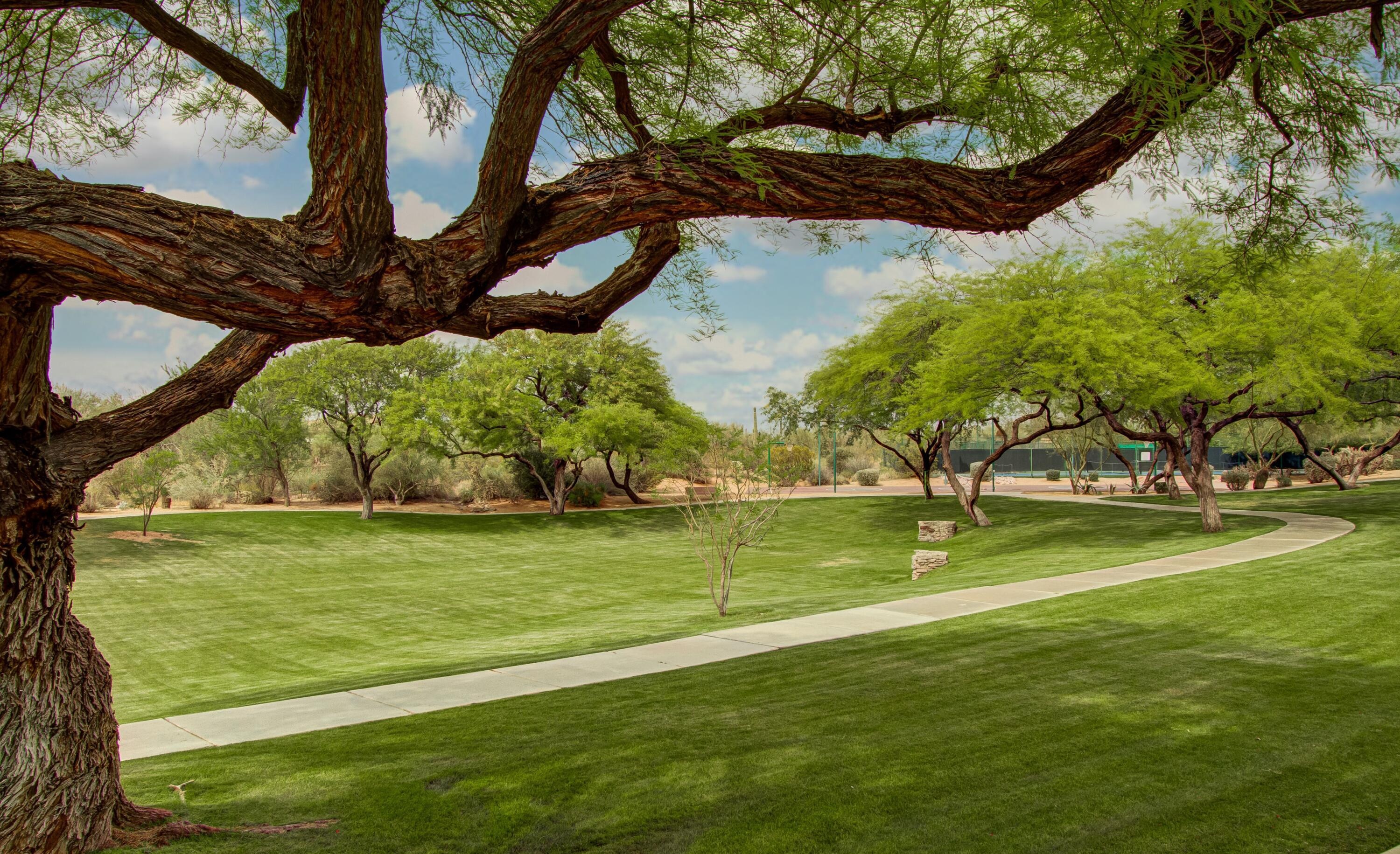  7696 E Moura Dr  Scottsdale, AZ - 物件實景