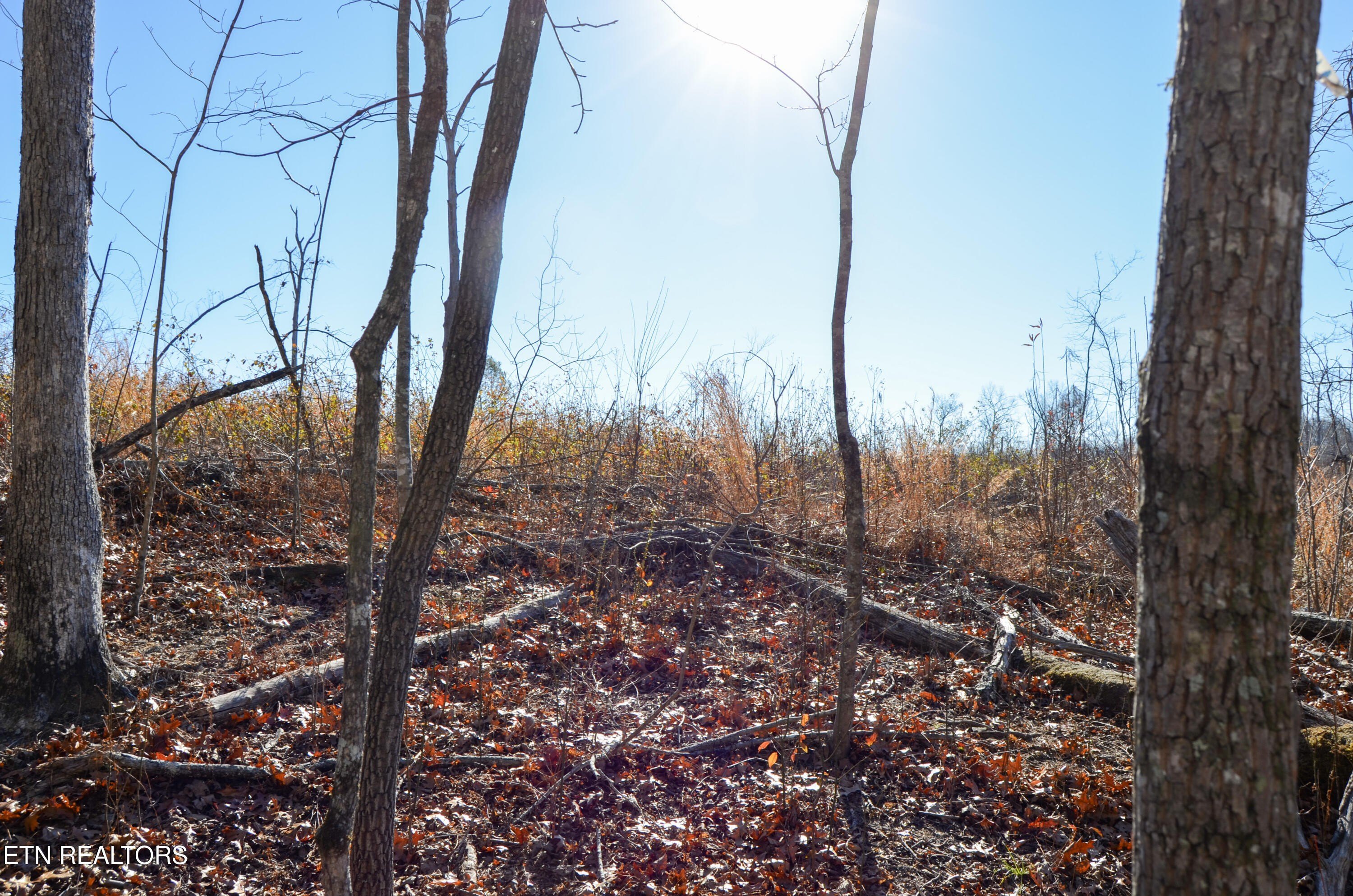 Crossville, Tennessee, 38555, United States, ,Land,For Sale,1978266