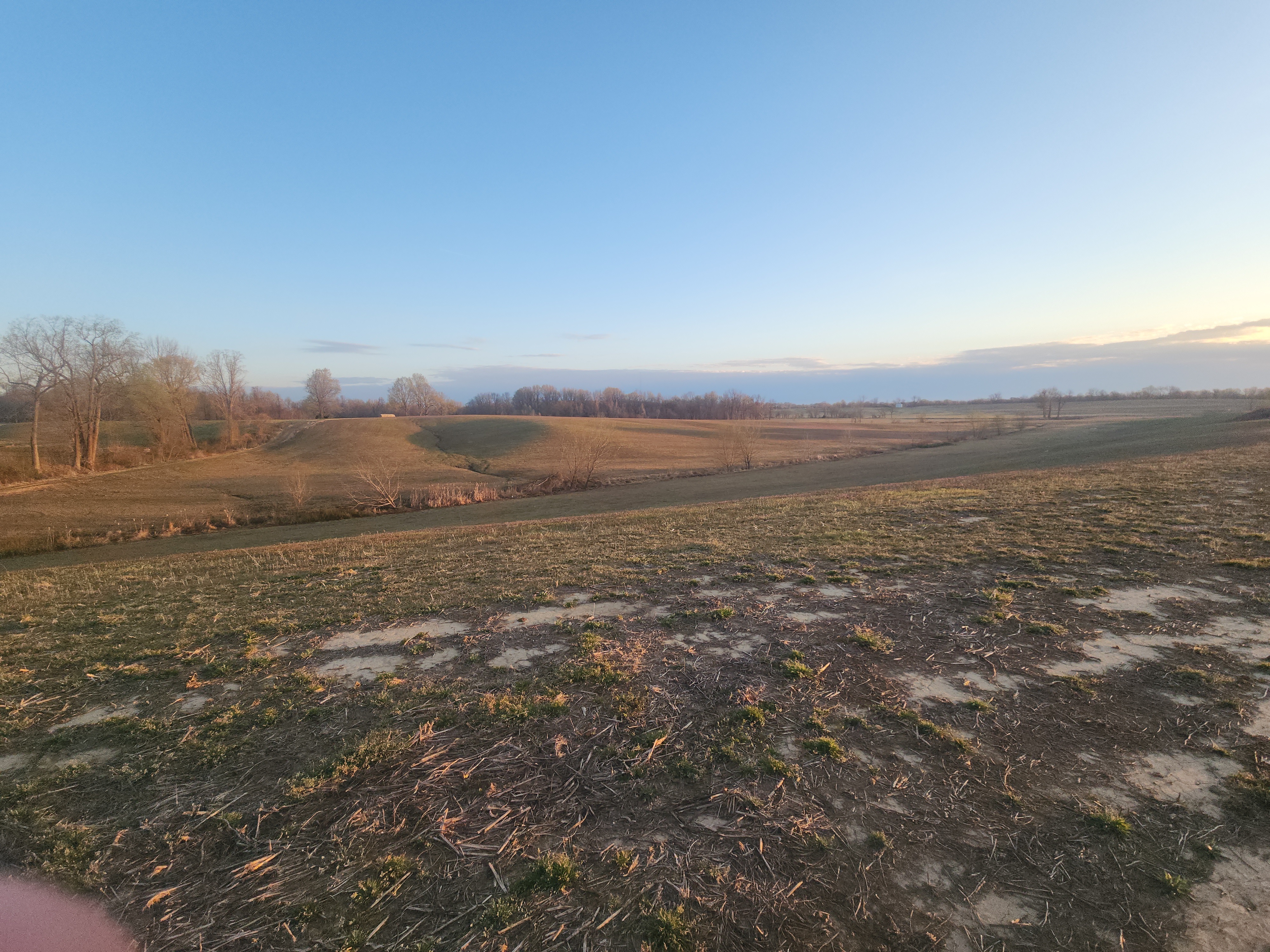 Union City, Tennessee, 38261, United States, ,Land,For Sale,1982811