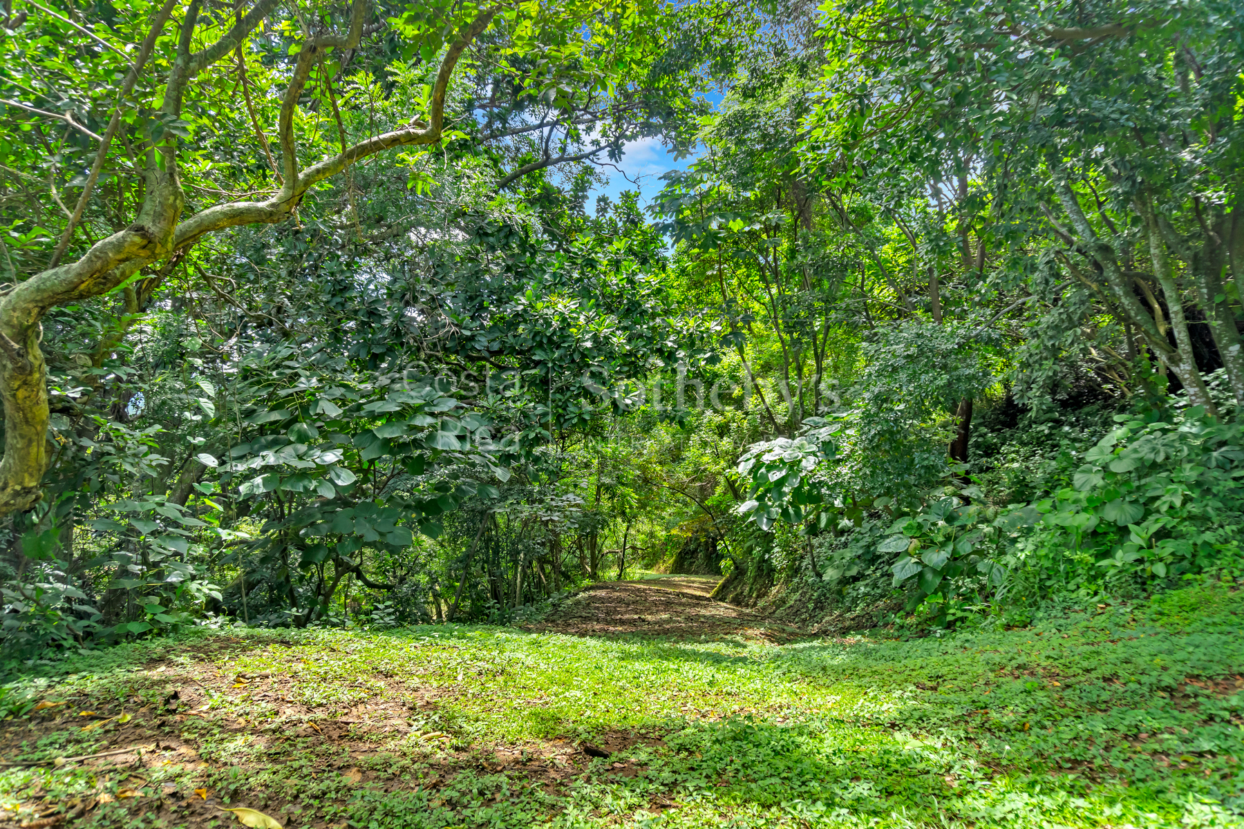  Atenas Highlands Eco Estate - 物件實景
