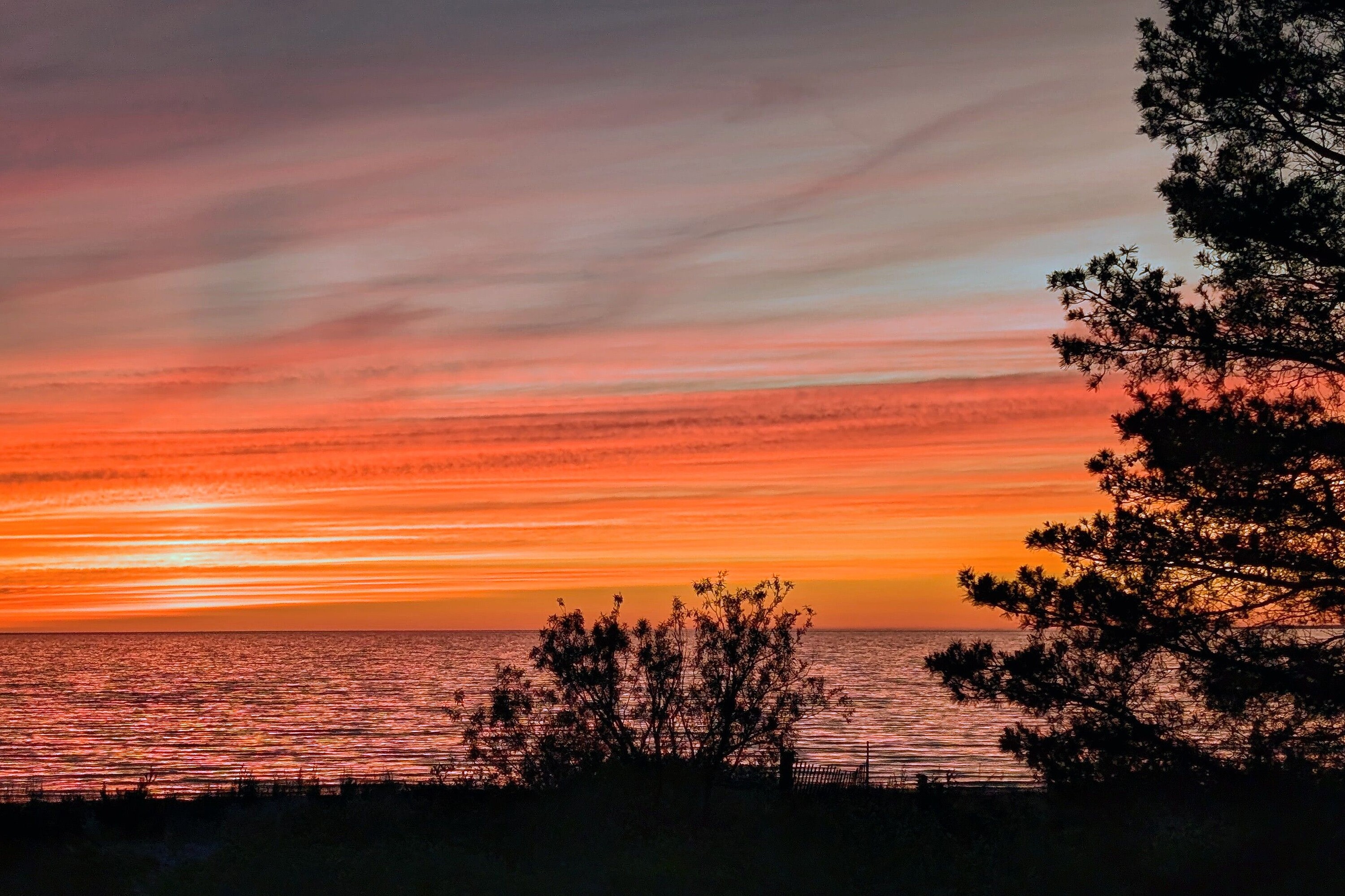  Iconic Wasaga Beach Shoreline - 物件實景