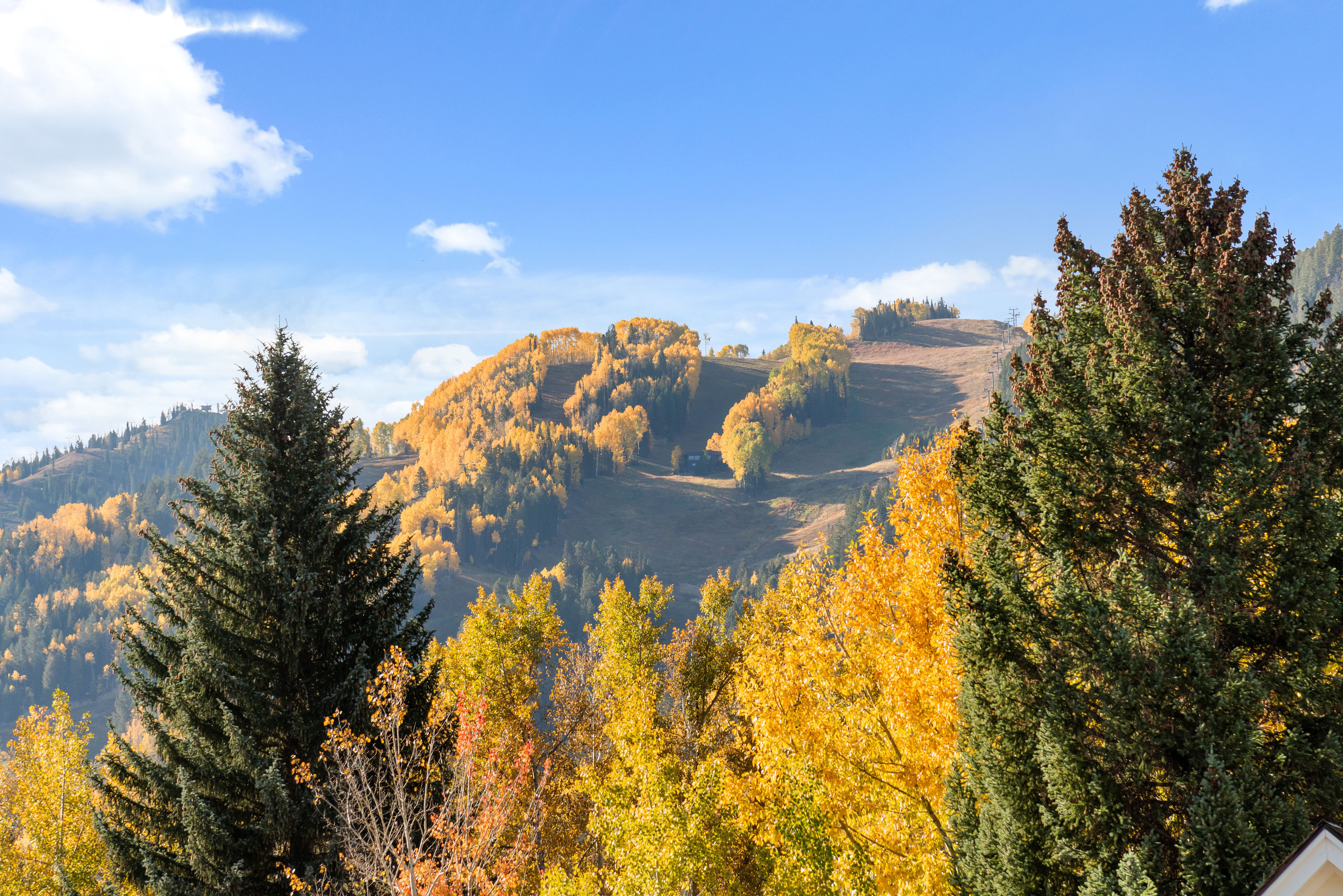  530 West Francis Street, Aspen, CO 81611 - 物件實景