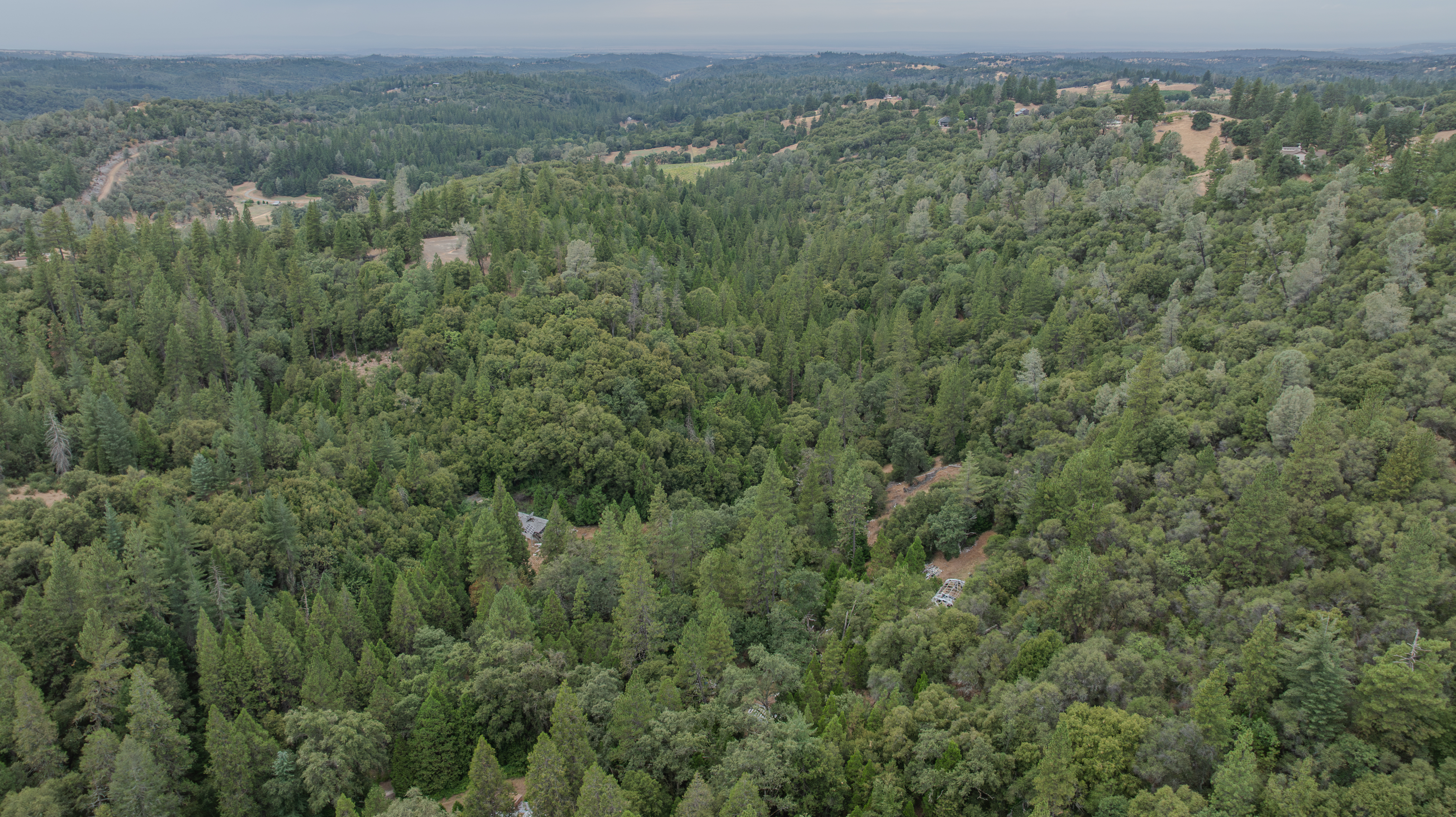  18101 Old River Road, Fiddletown, CA 95629 - 物件實景