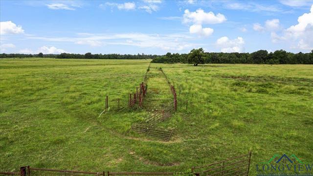 Henderson, Texas, 75654, United States, ,Land,For Sale,1885334