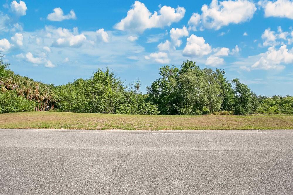 Windermere, Florida, 34786, United States, ,Land,For Sale,1885858