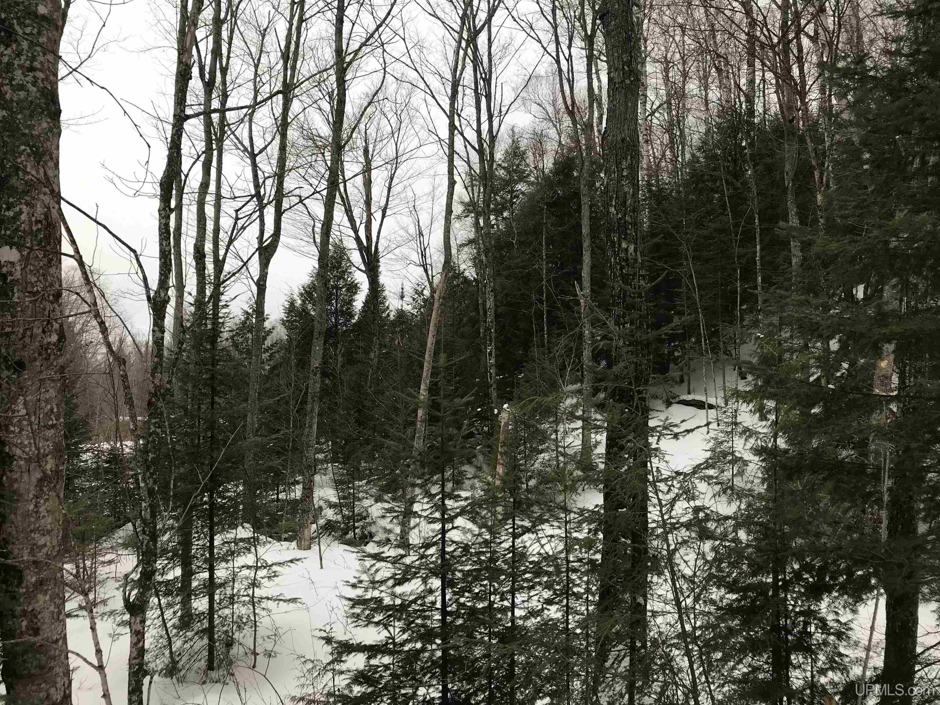 Atlantic Mine, Michigan, 49905, United States, ,Residential,For Sale,1881527