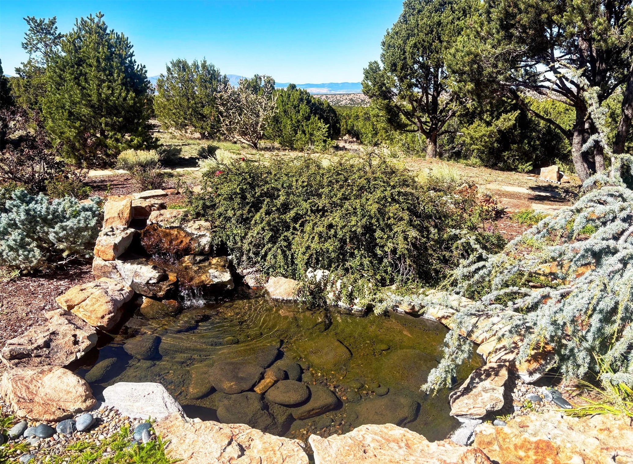  26 Aloe Circle - 物件實景