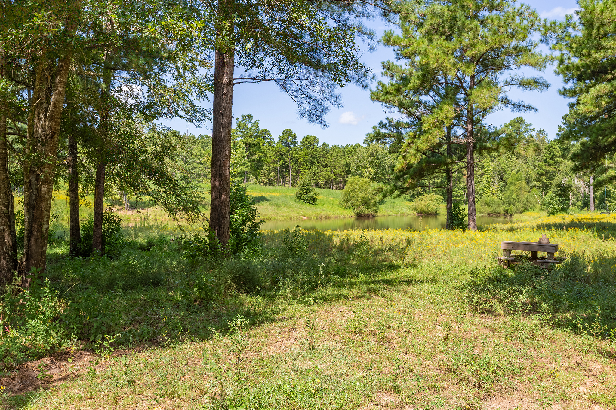 Bronson, Texas, 75930, United States, 5 Bedrooms Bedrooms, ,4 BathroomsBathrooms,Residential,For Sale,1944526