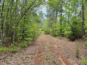 Naples, Texas, 75568, United States, ,Land,For Sale,1786234