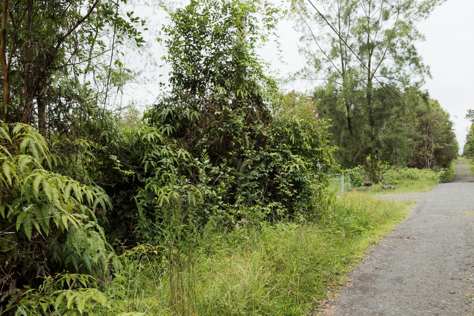  11-1766 Pilo St, Mountain View, HI, 96771 - 物件實景