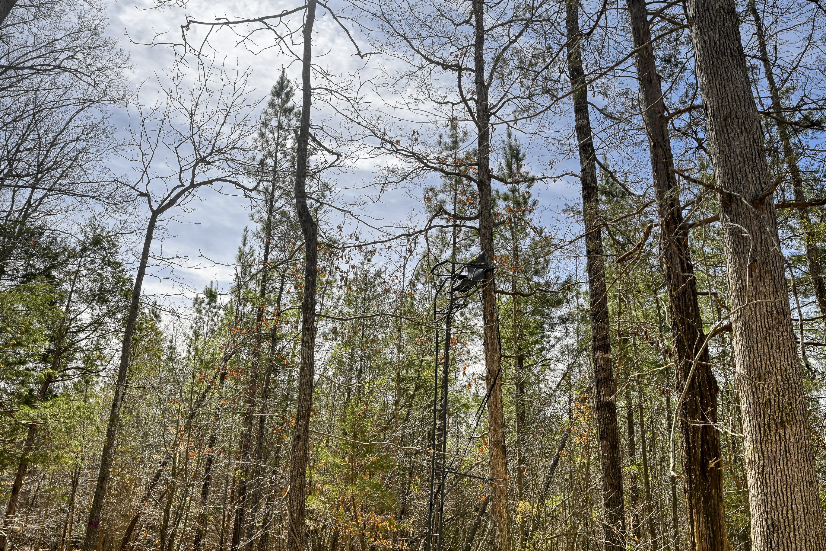  1399 Apple Grove Road, Mineral, VA 23117 - 物件實景