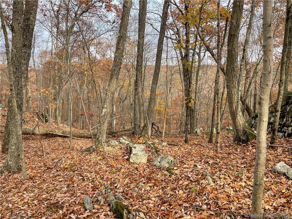 New Fairfield, Connecticut, 06812, United States, ,Residential,For Sale,1986113